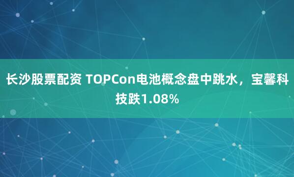 长沙股票配资 TOPCon电池概念盘中跳水,宝馨科技跌1.08%