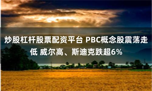 炒股杠杆股票配资平台 PBC概念股震荡走低 威尔高、斯迪克跌超6%