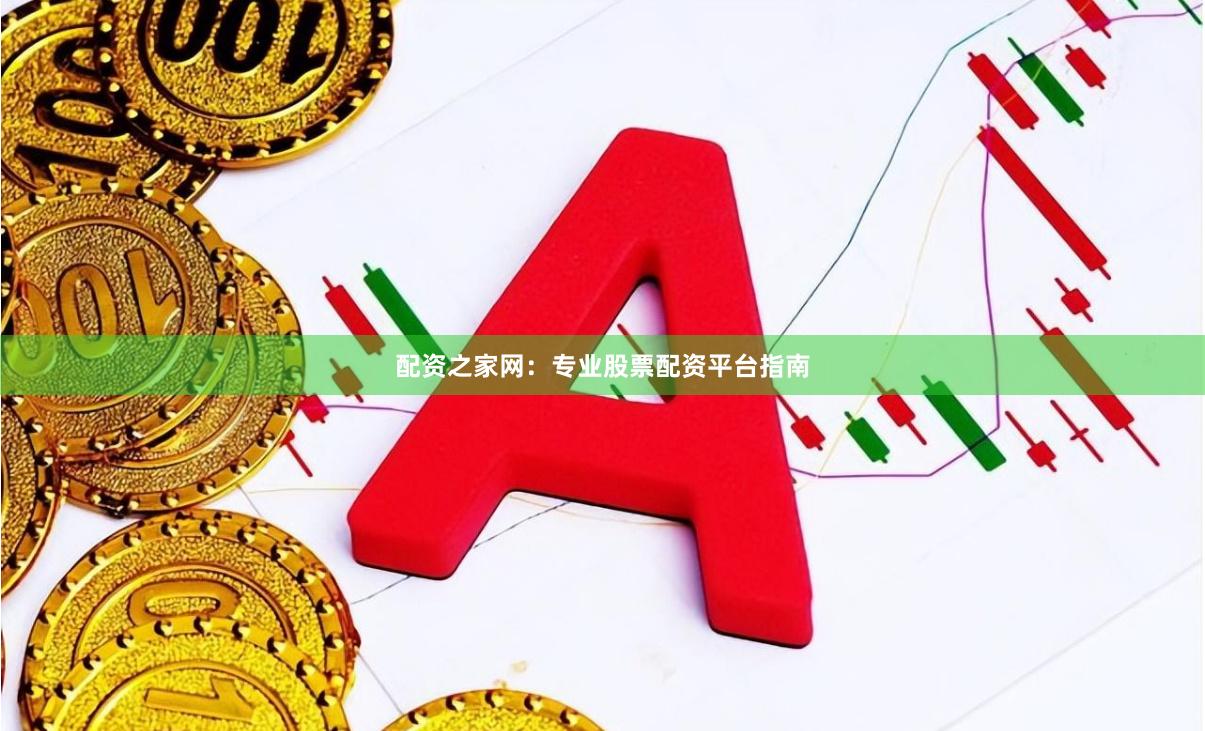 配资之家网：专业股票配资平台指南