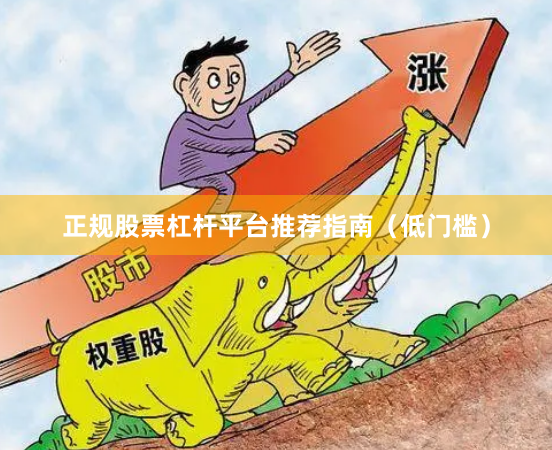 正规股票杠杆平台推荐指南(低门槛)